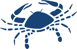 Cancer Zodiac Png - Zodiac Cancer Png, Transparent Png PNG with transparent background