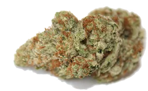 Cannabis Bud Closeup PNG Image