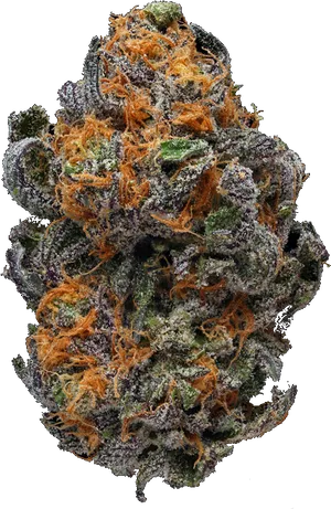 Cannabis Bud Closeup.png PNG Image