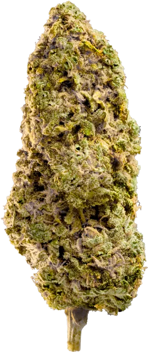 Cannabis Bud Closeup.png PNG Image