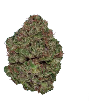 Cannabis Bud Closeup PNG Image