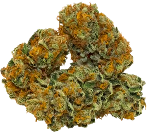 Cannabis Buds Closeup.png PNG Image