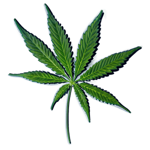 Cannabis Indica Leaf PNG 98 PNG image with transparent background