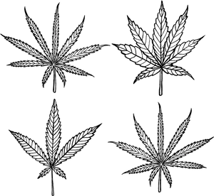 Cannabis Leaf Illustration Set PNG Image