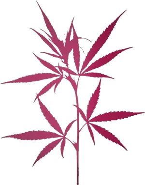 Cannabis Leaf Silhouette PNG Image