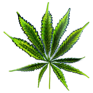 Cannabis Plant PNG ffx PNG image with transparent background