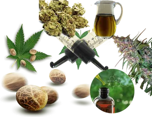 Cannabis Products Collage PNG Image