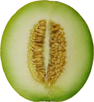 Cantaloupe Cross Section PNG Image