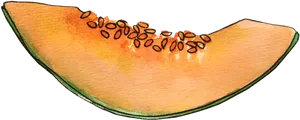 Cantaloupe Slice Illustration PNG Image