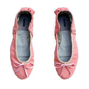 Canvas Ballet Shoes PNG muv PNG with transparent background