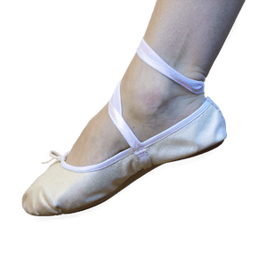 Canvas Ballet Shoes PNG nyp PNG with transparent background