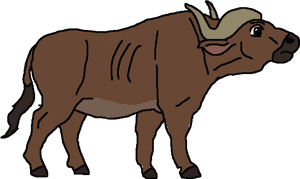 Cape Buffalo Png Pic - Buffalo Clipart Transparent Background, Png Download PNG image with transparent background
