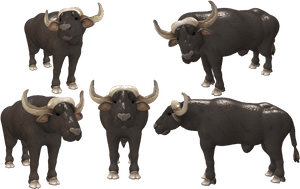 Cape Buffalo Transparent Background - African Buffalo Zoo Tycoon, HD Png Download PNG image with transparent background