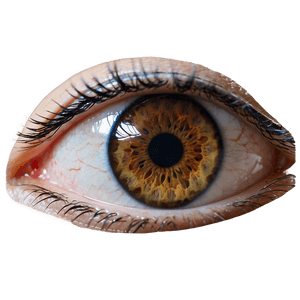 Captivating Eyes PNG 06112024 PNG image with transparent background