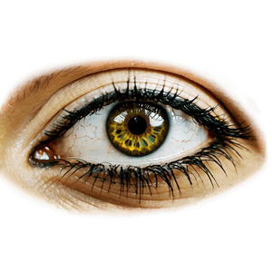 Captivating Eyes PNG 52 PNG image with transparent background