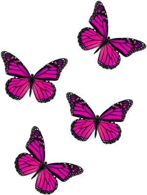 Captivating Image Of A Pink Butterfly PNG Image