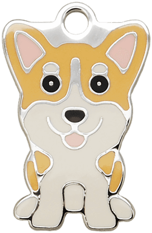 Cardigan Welsh Corgi, HD Png Download PNG with transparent background