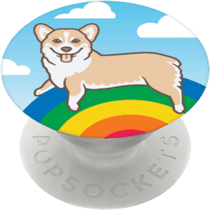 Cardigan Welsh Corgi, HD Png Download PNG with transparent background