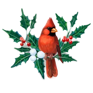 Cardinal And Holly Png Ady PNG Image