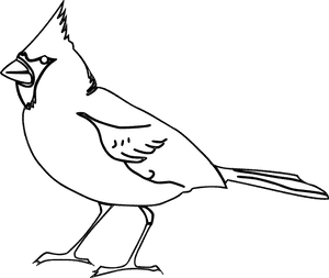 Cardinal Bird Svg Black And White, HD Png Download PNG image with transparent background