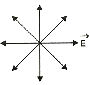 Cardinal Directions Vector Arrows PNG Image