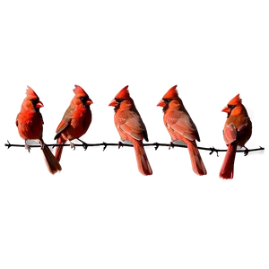 Cardinal Flock Png Oca PNG Image