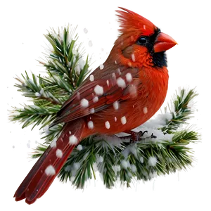 Cardinal In Snow Png 06252024 PNG Image