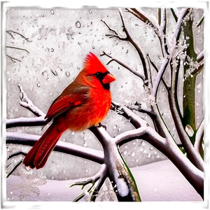 Cardinal In Winter Wonderland Png Kyw PNG Image