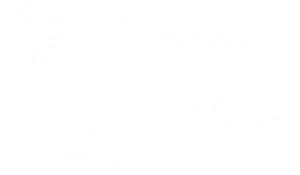 Cardinals Nation Logo PNG Image