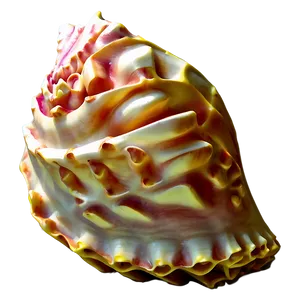 Caribbean Conch Shell Outline Png Ifx PNG Image