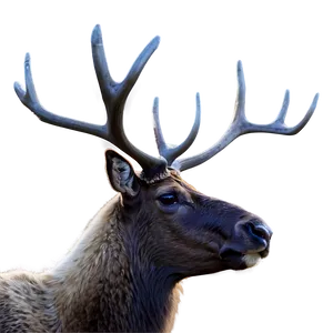 Caribou Silhouette At Dawn Png 94 PNG Image