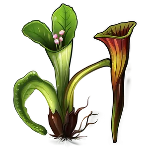 Carnivorous Plant Clipart Png Bta PNG Image