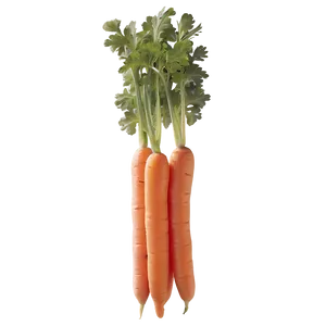 Carrot Batons Png 91 PNG Image
