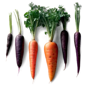 Carrot Julienne Png 6 PNG Image