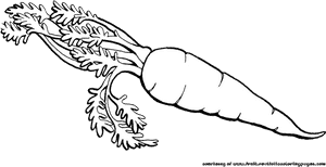 Vegetables Black And White Color Carrot Clipart Explore - Fruits And Vegetables Cliparts Black And White, HD Png Download PNG image with transparent background