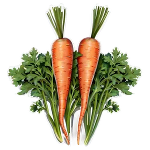 Carrot Patch Png Mus78 PNG Image