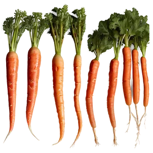 Carrot Stick Png Bbd2 PNG Image