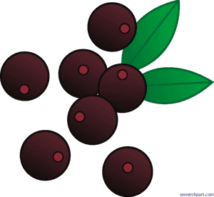 Clipart Free Library Berries Acai Clip Art - Red Berries Clip Art, HD Png Download PNG image with transparent background