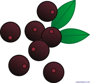 Cartoon Acai Berries Illustration PNG Image