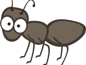Transparent Ant Clipart Png - Ant Clipart No Background, Png Download PNG image with transparent background