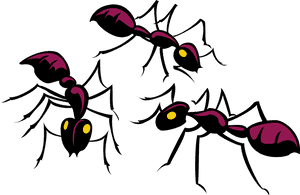 Ants Clipart, HD Png Download PNG image with transparent background