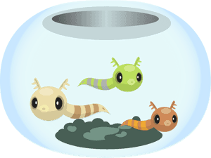 Goldfish Fishbowl Clip Art - Aquarium, HD Png Download PNG image with transparent background