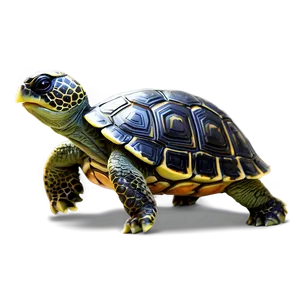 Cartoon Baby Turtle Png Jme PNG Image