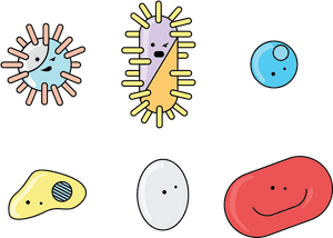 Pencil And In Color - Transparent Background Germs Clipart, HD Png Download PNG with transparent background