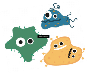 Transparent Bacteria Clipart - Bacteria Gif Transparent Background, HD Png Download PNG image with transparent background