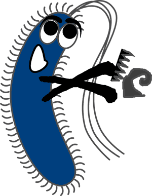 Germ, Virus, Bacteria, Infection, Organism, Illness - Gram Negative Bacteria Cartoon, HD Png Download PNG image with transparent background