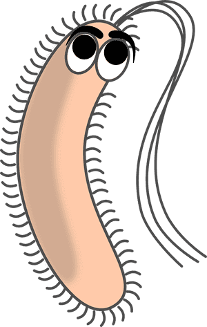 Bacteria Filaments Germ Free Photo - Bacteria Clipart, HD Png Download PNG image with transparent background