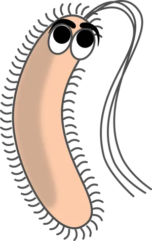 Cartoon Bacterium Character PNG Image