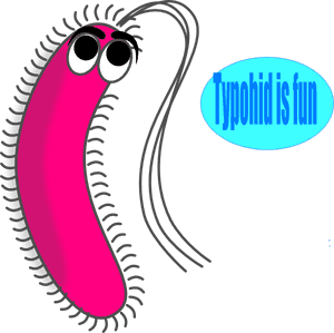 Funny Germs Cliparts - Gram Negative Bacteria Cartoon, HD Png Download PNG image with transparent background