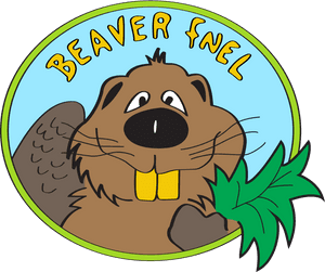 Beaver - Beaver Fnel PNG image with transparent background